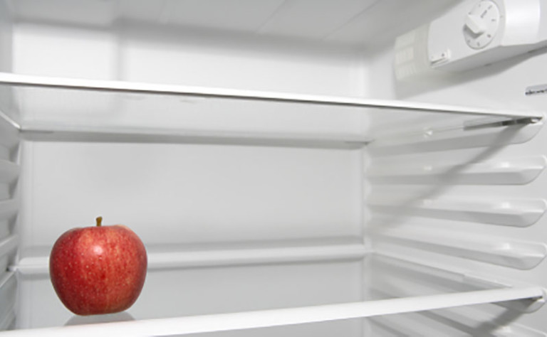 Fridge Shelf