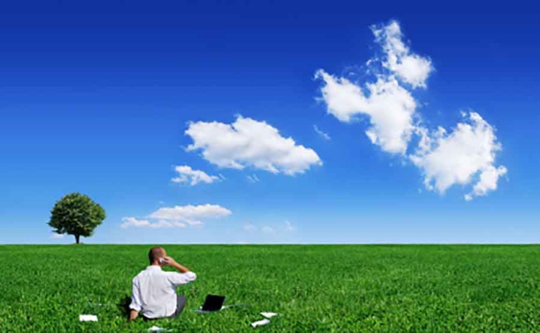 Grass Sky