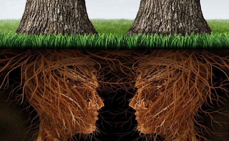 Human Roots