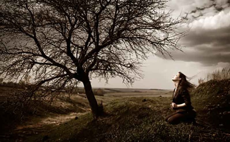 Inner Landscapes