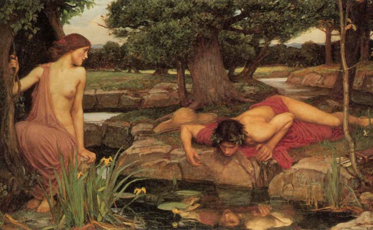 Narcissus